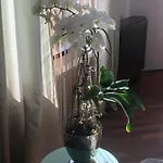 Old Town Lipscani Apartment