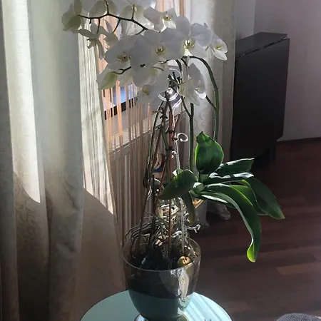 Old Town Lipscani Apartment