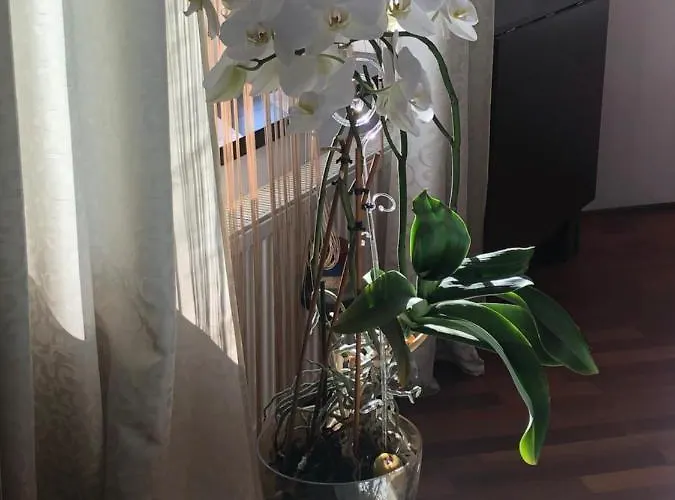 Old Town Lipscani Apartman